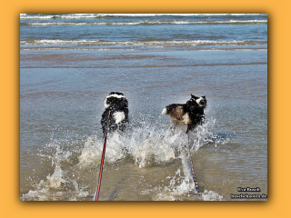 JayJay und Jayla (3).jpg